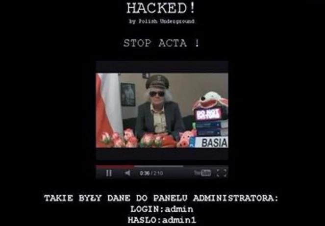 Ekspert o atakach hakerów: to nie cyberterroryzm