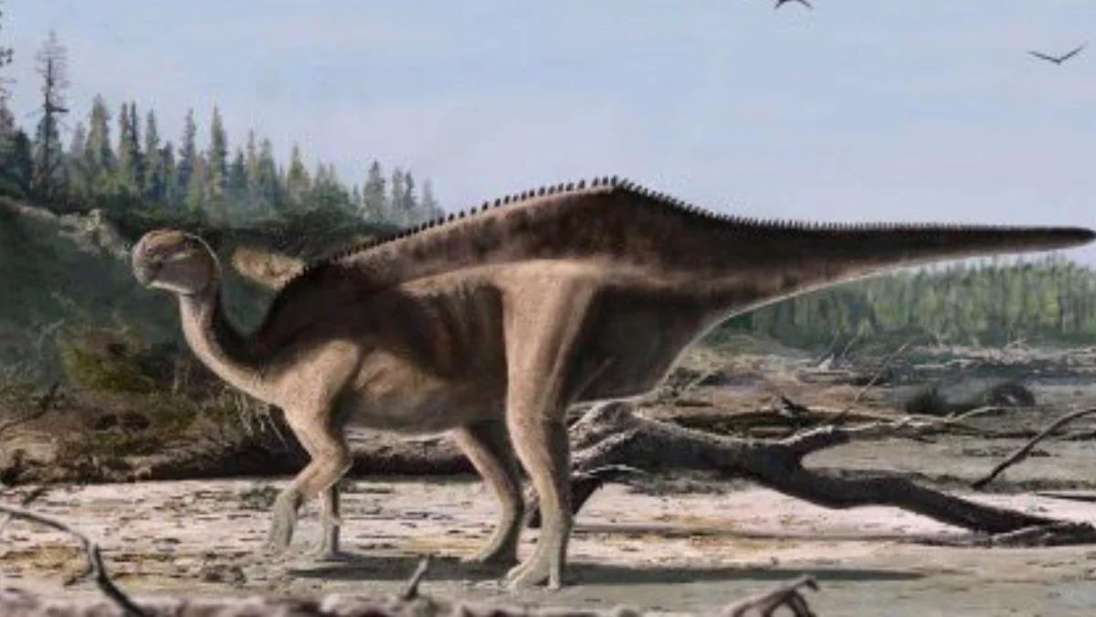 Odkryto nowy gatunek dinozaura. Stworzenie z "żaglem"