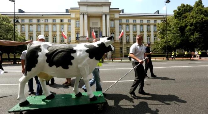 Ubój rytualny: walczą o 6 tys. miejsc pracy i pół miliarda euro 