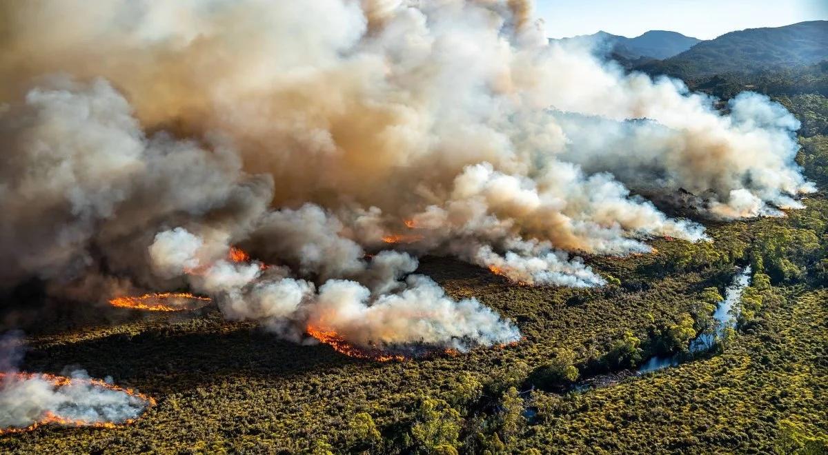 Pożary w Australii wywołane rekordowymi upałami. Miejscami temperatura przekracza 47 stopni