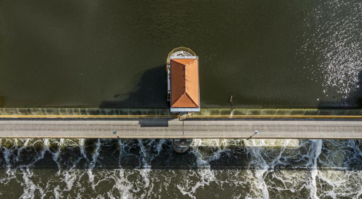 Śnięte ryby w Odrze. Nowy komunikat Wód Polskich