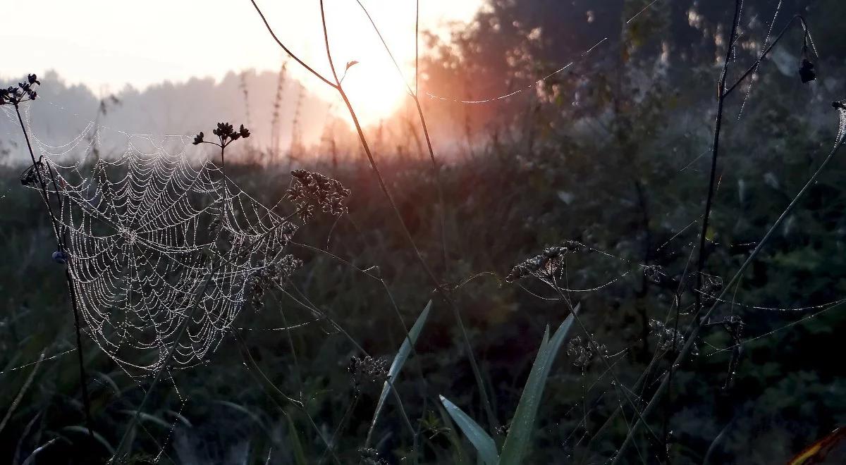 Prognoza pogody: rano pochmurno i mglisto. W dzień większe przejaśnienia