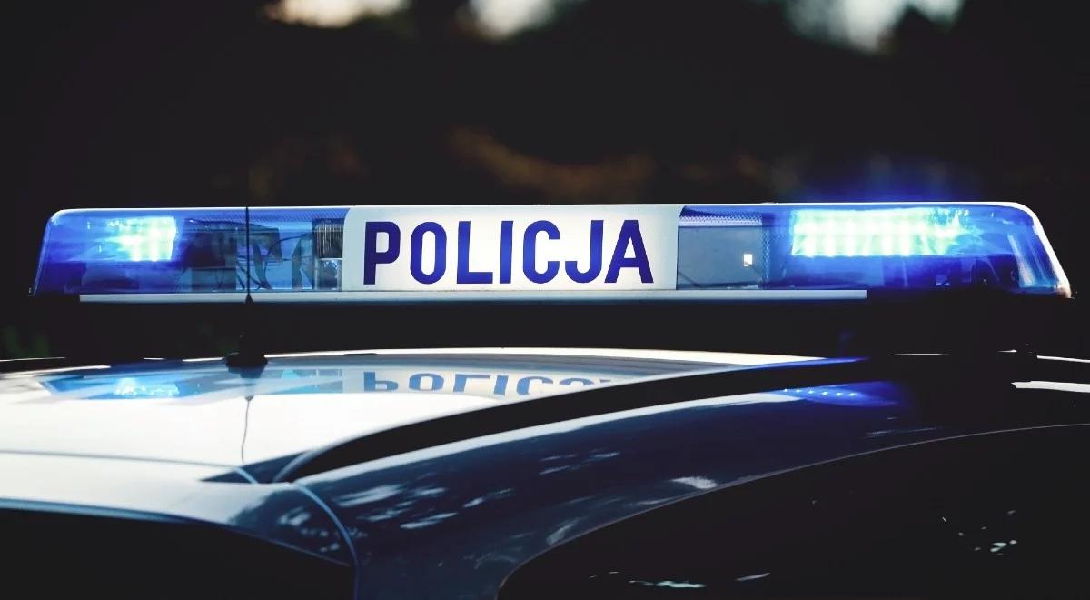 Kokaina ukryta w skórzanym hamaku. Przesyłka trafiła do Warszawy z Kolumbii