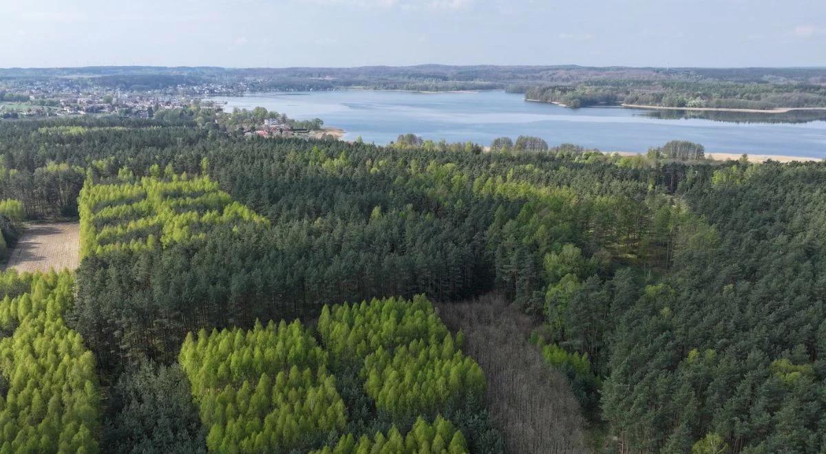 Oto Cuda Polski. Zobacz najpiękniejsze zakątki naszego kraju