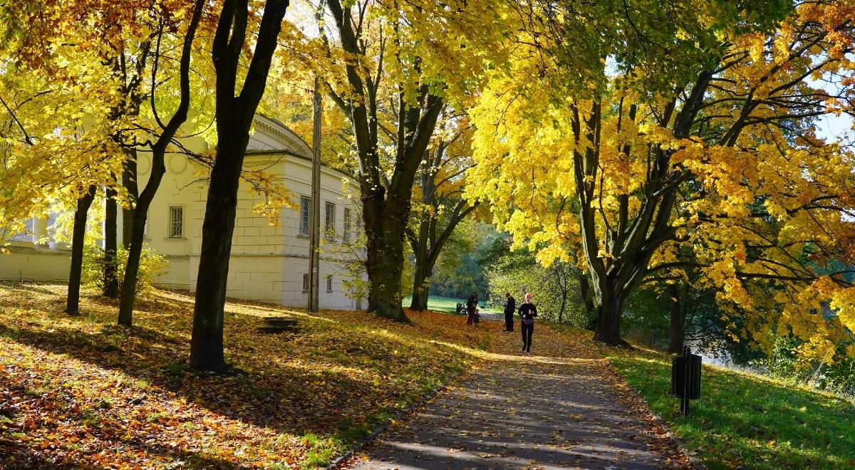 Prognoza pogody: będzie ładnie, sprawdź, gdzie popada