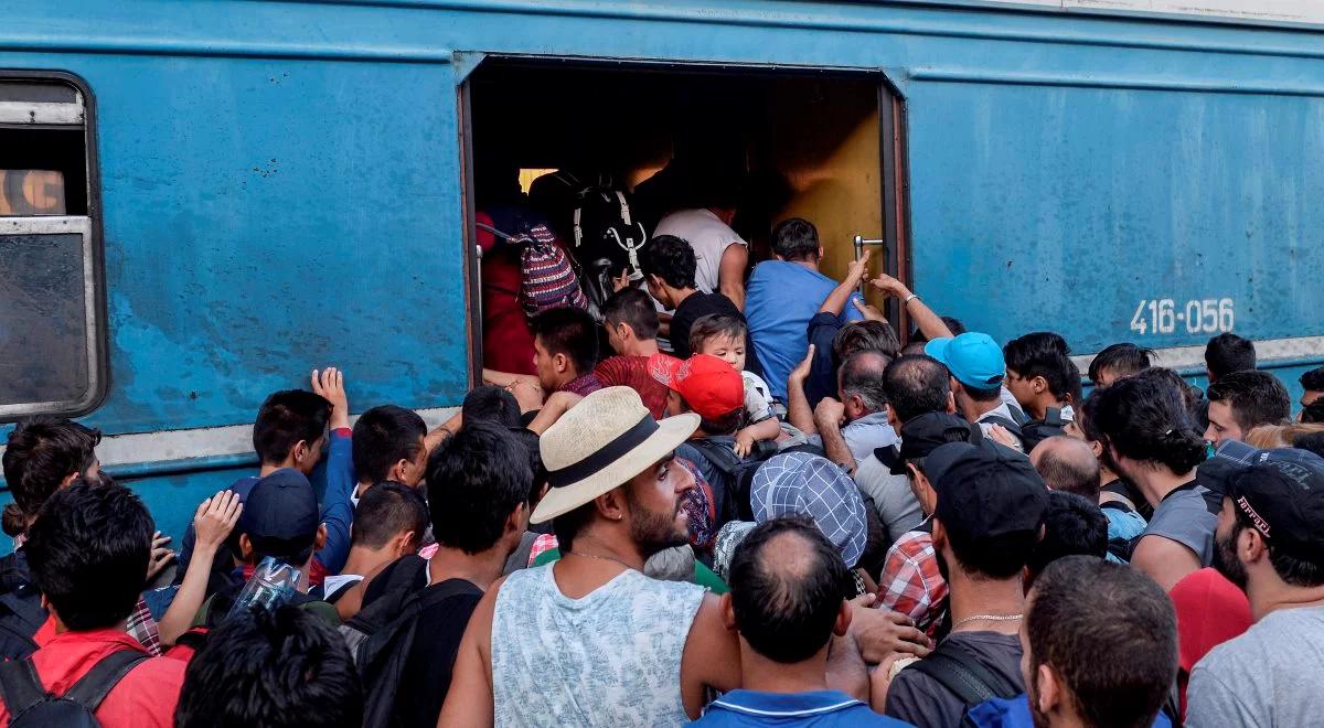 Belgijski minister: nie wszyscy imigranci to biedacy
