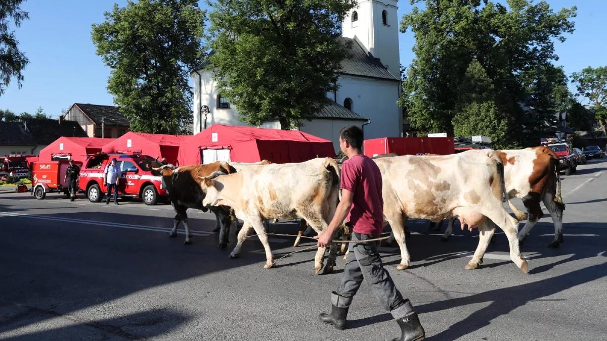 Pomoc dla rolników poszkodowanych w pożarze w Nowej Białej. Resort podał szczegóły