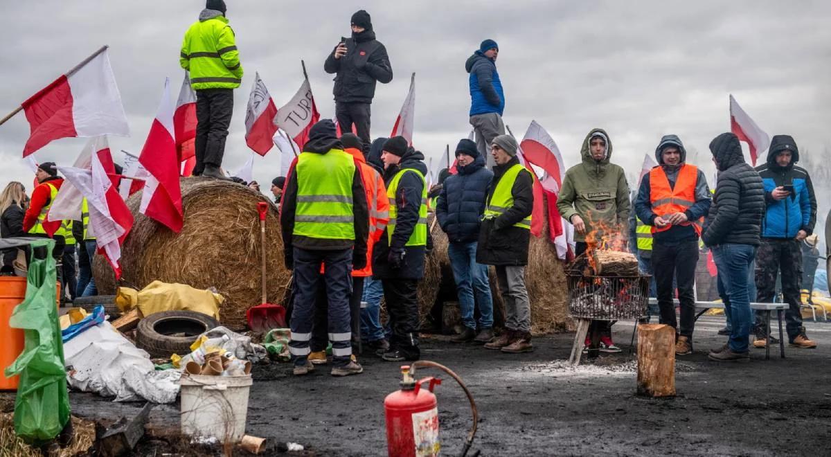 Rolnictwo i Zielony Ład. Czy w polskiej żywności jest dużo pestycydów?     