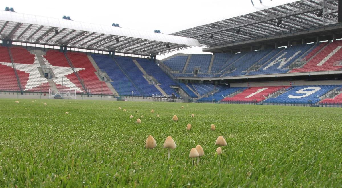 Ekstraklasa: zawieszona licencja i co dalej? Komisja czeka na wyjaśnienia Wisły 