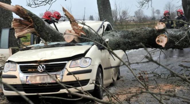 Orkan nad Polską. Cztery ofiary śmiertelne i dziesiątki rannych w wypadkach na Pomorzu