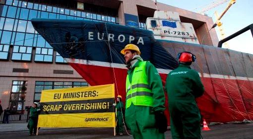 Greenpeace w Brukseli bronią ryb