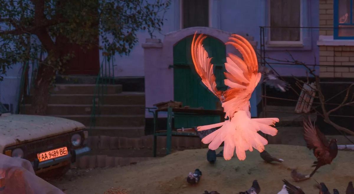 Międzynarodowy Festiwal Fotografii w Łodzi. Candrowicz: miejsce spotkań Wschodu i Zachodu