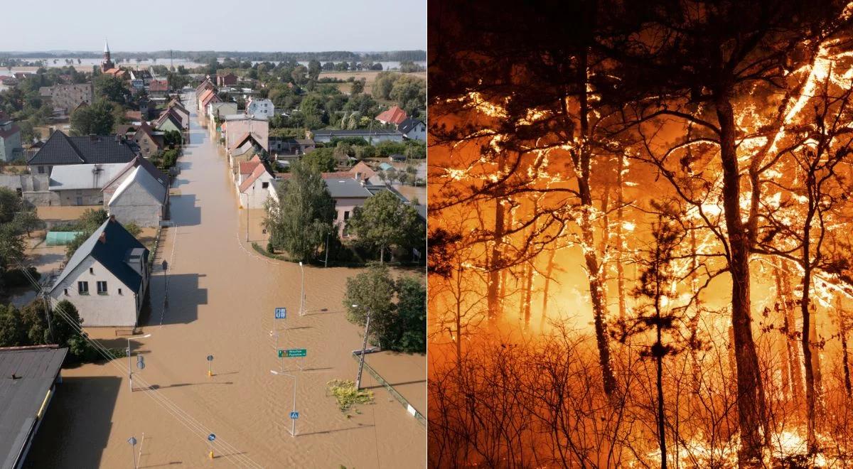 Ostatnie Pokolenie miało rację. ONZ kreśli katastroficzny scenariusz