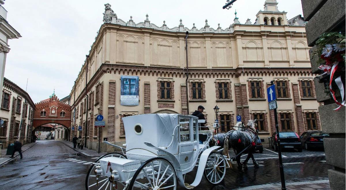 Kraków: po remoncie w Pałacu Czartoryskich. "Dama z gronostajem" w nowej ramie