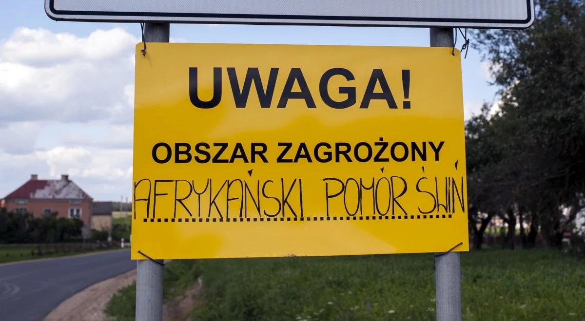 ASF: wykryto 12 w kraju ognisko wirusa u świń