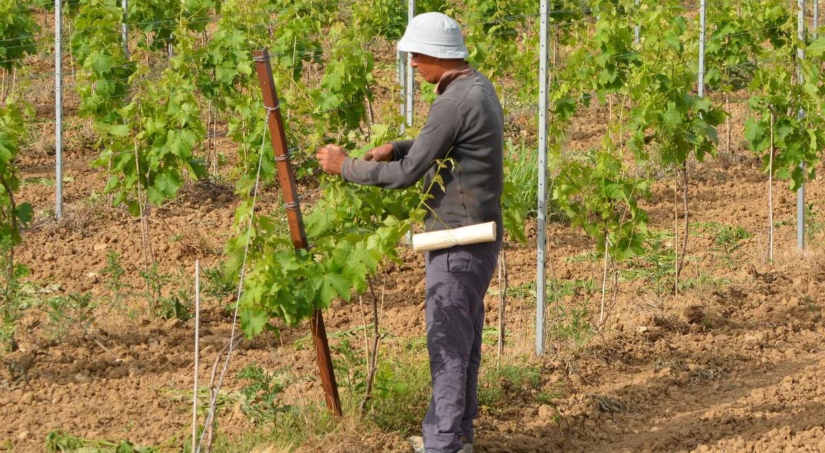 Hiszpania: pracowali w szarej strefie, przez pandemię zostali bez środków do życia