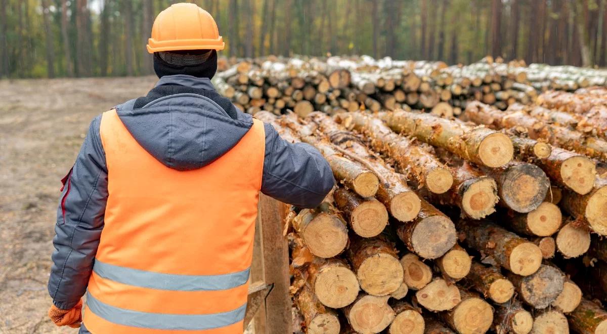 Budynki z drewna. Czy mogą być odpowiedzią na kryzys klimatyczny?