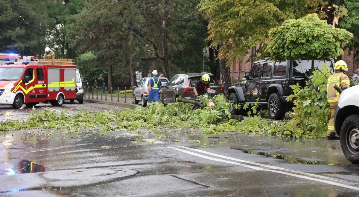 Interwencje po burzach. Strażacy mieli pełne ręce roboty