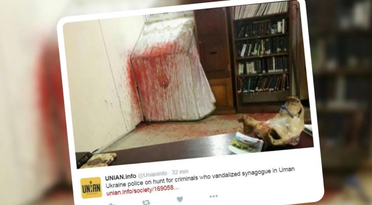 Profanacja synagogi w Humaniu na Ukrainie. Sprawcy wrzucili głowę świni ze swastyką