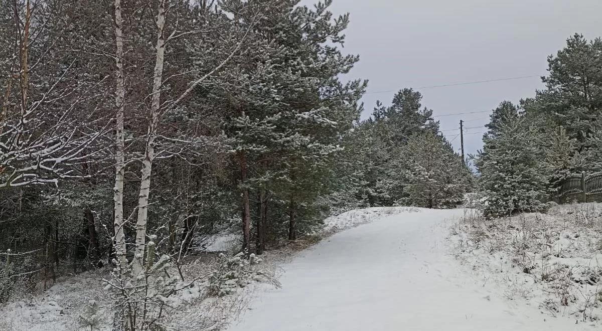 IMGW ostrzega przed silnym mrozem. Nawet do 20 stopni poniżej zera
