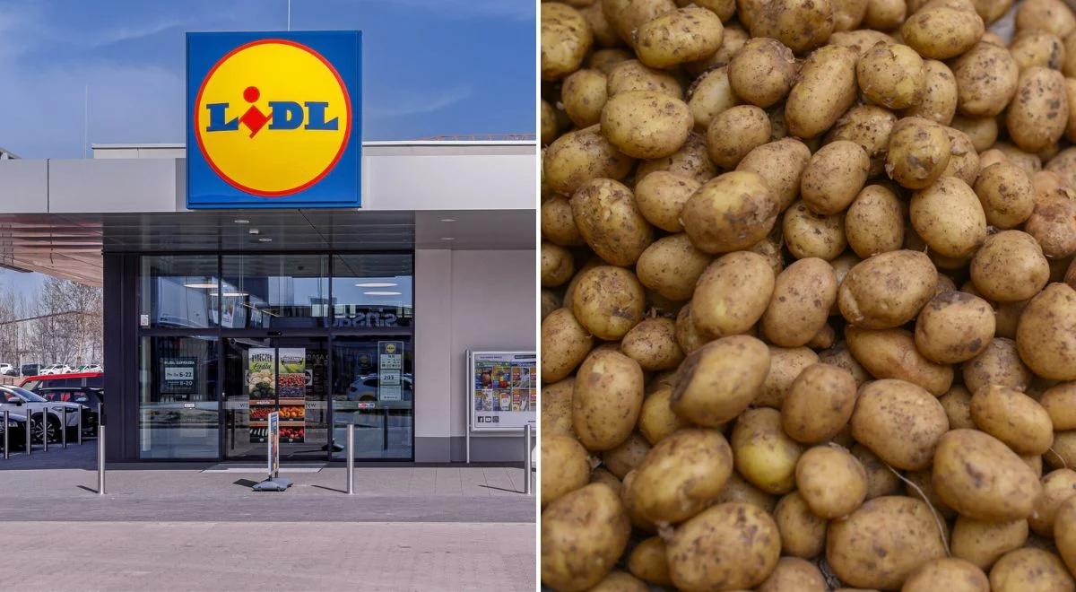 Nie jedz tych ziemniaków. Pilny komunikat Lidla