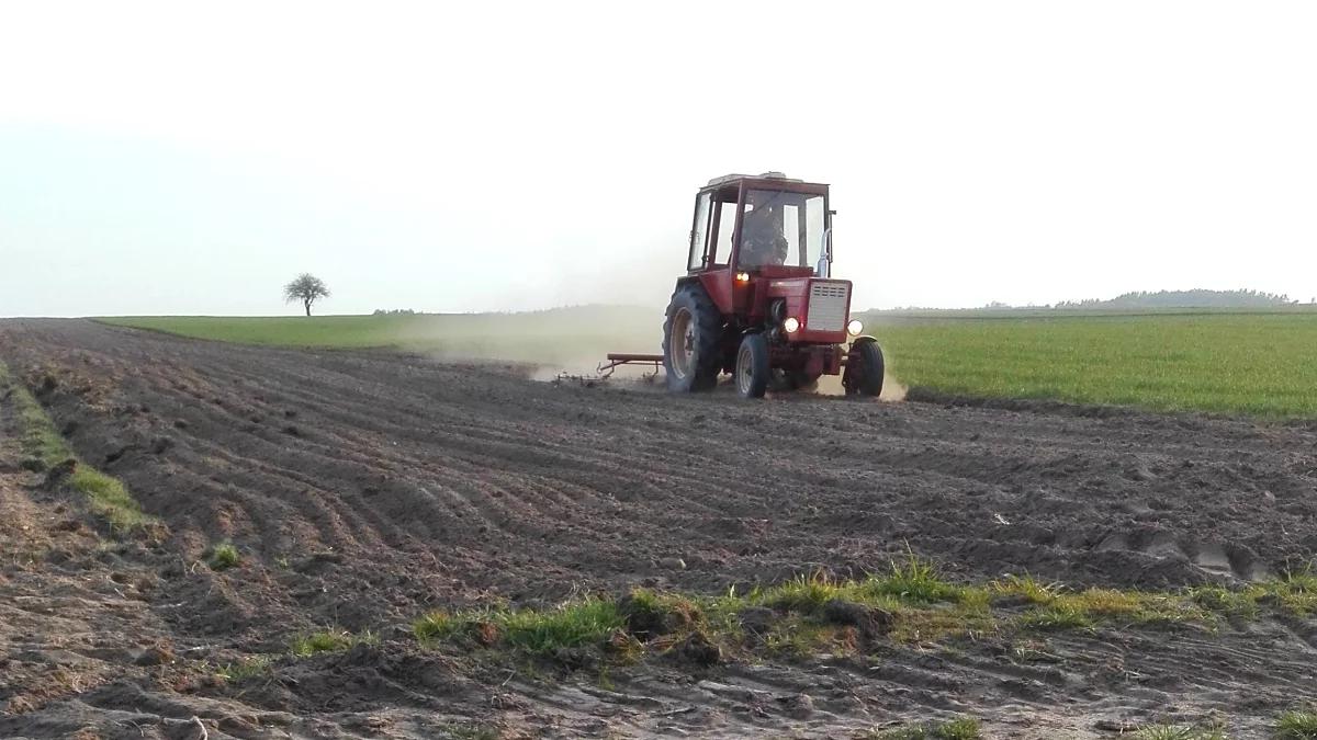 Budżet UE: 2 mld euro więcej dla polskich rolników