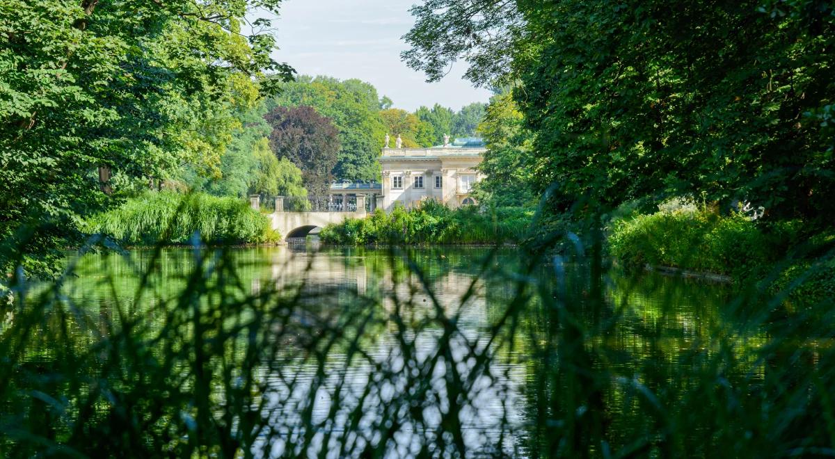 Muzeum zachwytów. Łazienki Królewskie w Warszawie na lato