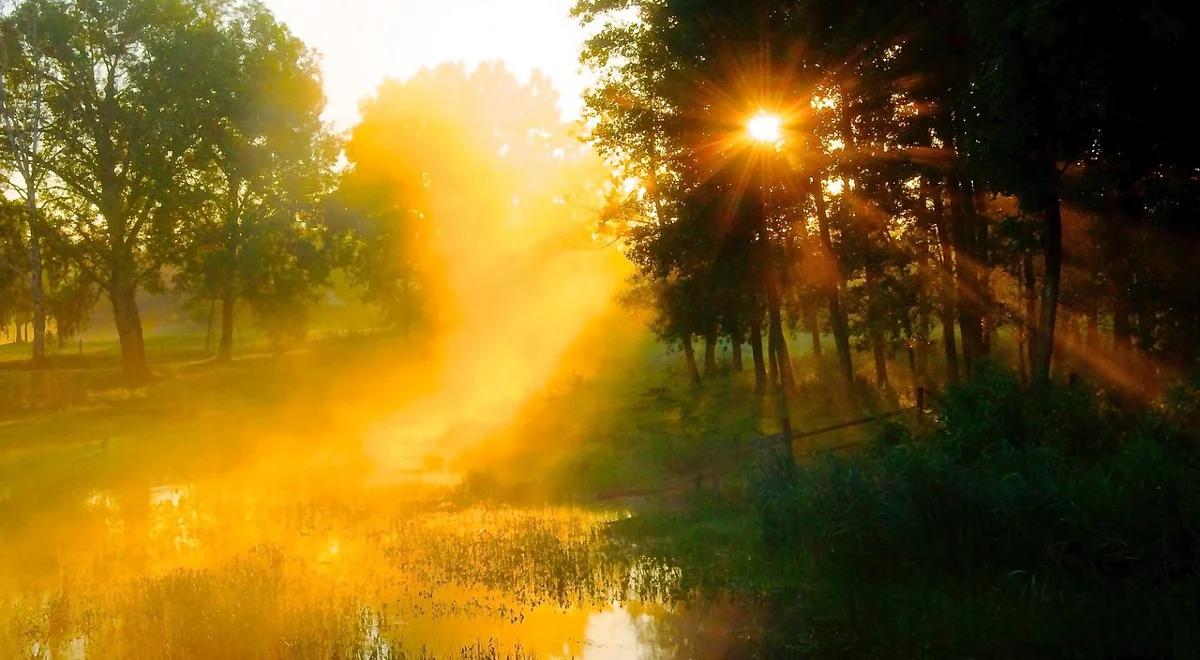 Warmia i Mazury stawia na wodę, żywność i meble