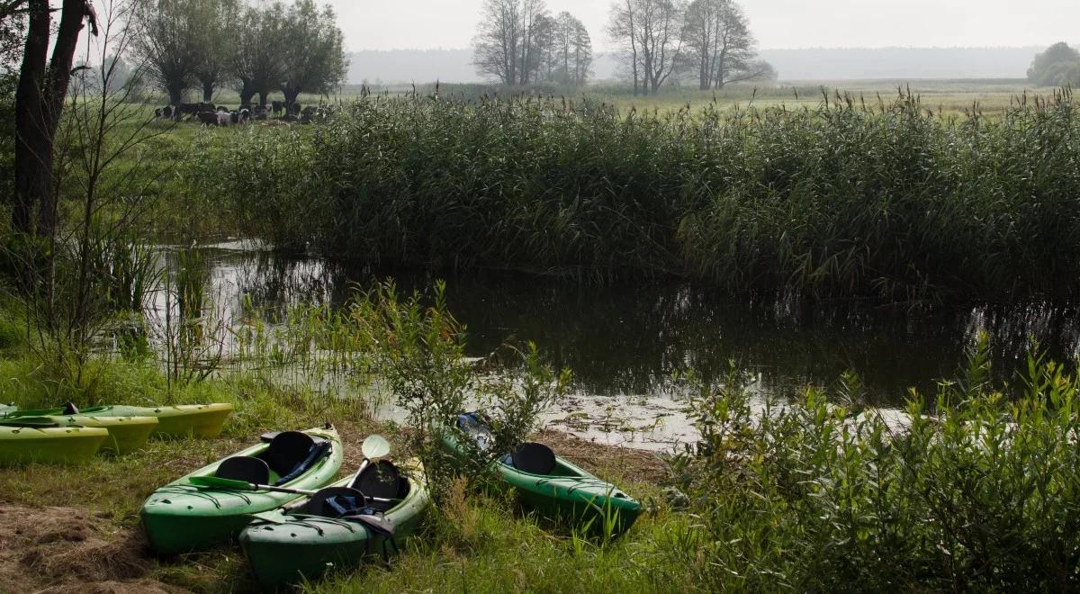 Z Drwęcy wyłowiono ciało mężczyzny. Unoszące się na wodzie zwłoki zauważyli kajakarze