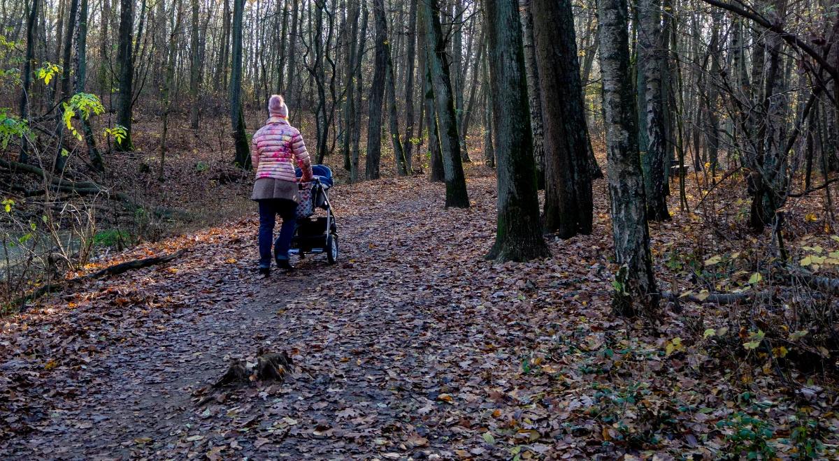 Poznań. Dzięki miejskiemu programowi in vitro urodziło się 71 dzieci