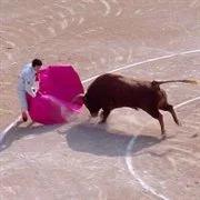 Czołowy hiszpański matador w stanie krytycznym