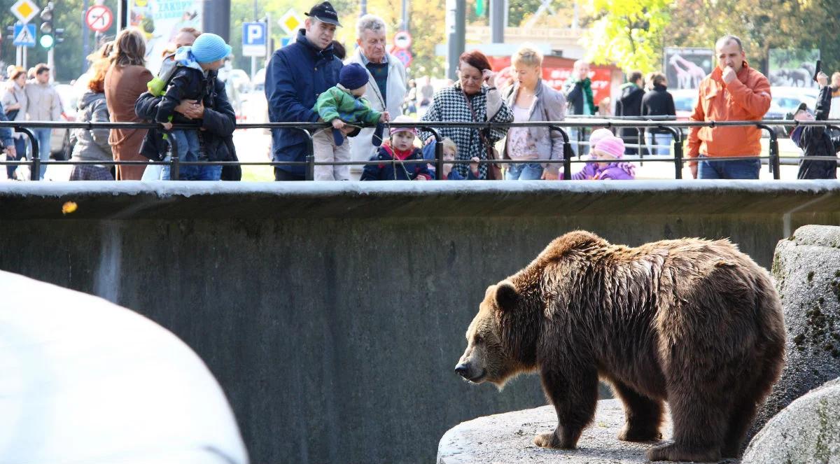 Warszawski Ogród Zoologiczny świętuje 90-lecie. Liczne atrakcje