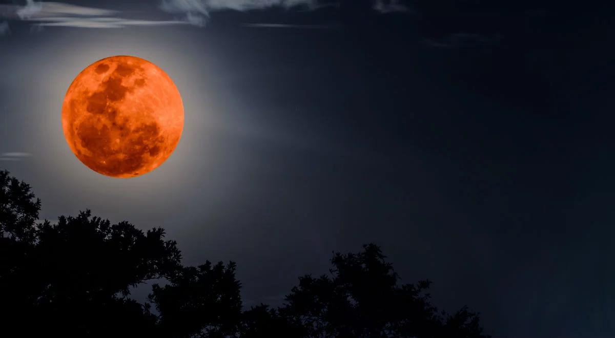 Nietypowe zaćmienie Księżyca. Zobacz "Super Blue Blood Moon" [WIDEO]