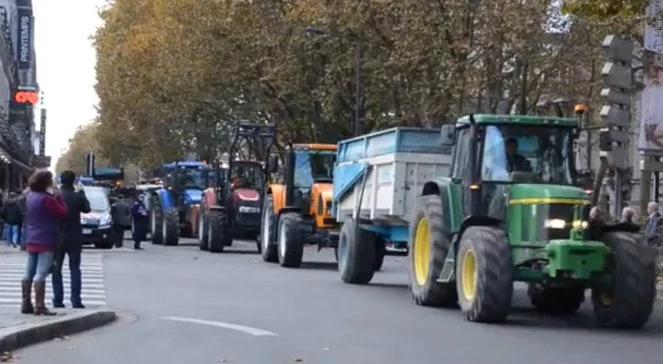Wielki protest rolników we Francji. Rozdali ludziom kilkadziesiąt ton produktów