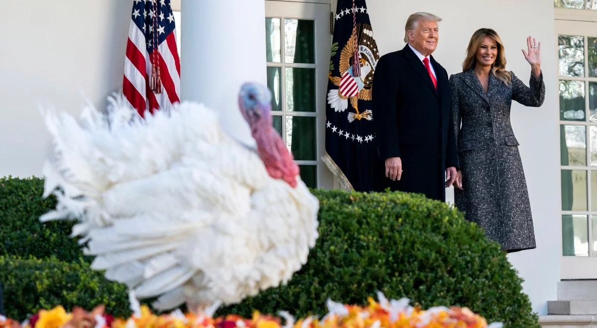 Zbliża się Święto Dziękczynienia. Zgodnie z tradycją prezydent USA ułaskawił indyka