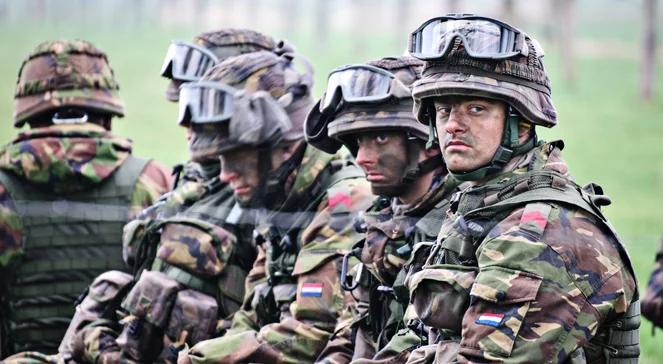 Siły NATO na Ukrainie