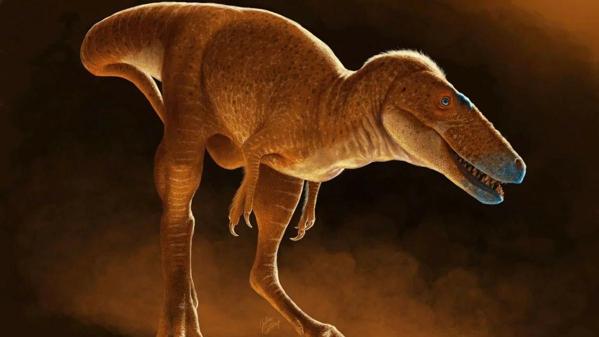 Odkryli "księcia smoków". To mniejszy przodek T-rexa