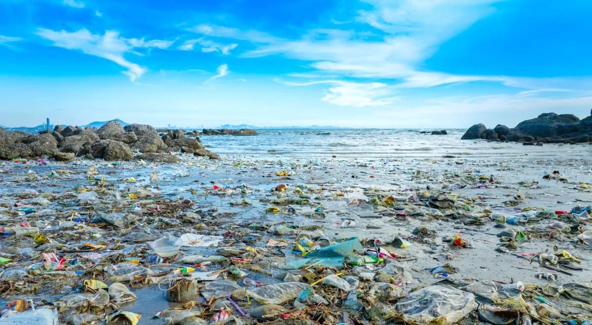 Mikroplastik jest wszędzie. "Do organizmu mogą trafić niebezpieczne substancje"