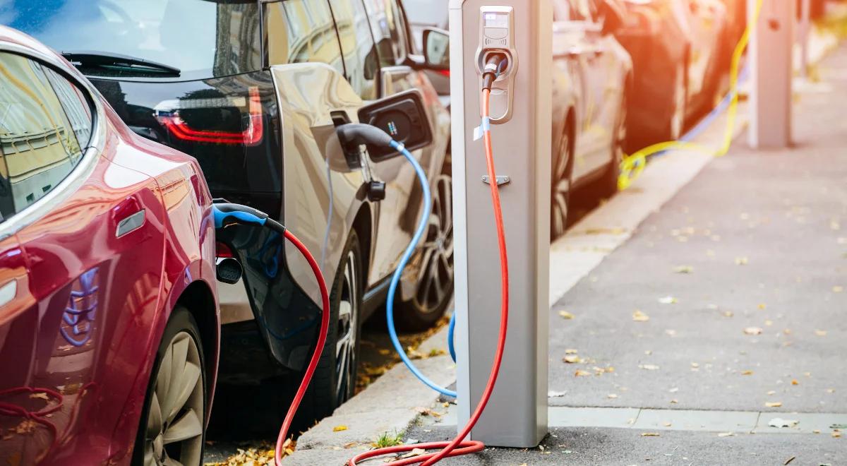 Znaczenie sektora elektromobilności dla polskiego PKB. Zobacz wyniki raportu  