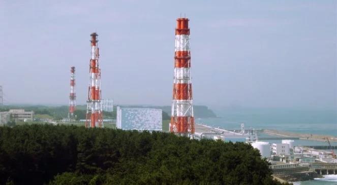 Jak uratować ziemie wokół Fukushimy?   