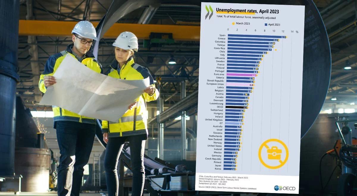 Polska na czele państw z najniższą stopą bezrobocia. Bardzo dobre dane OECD