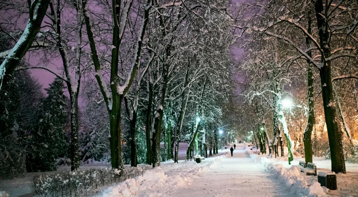 Do Polski wraca silny mróz. Temperatura może spaść poniżej -15 stopni