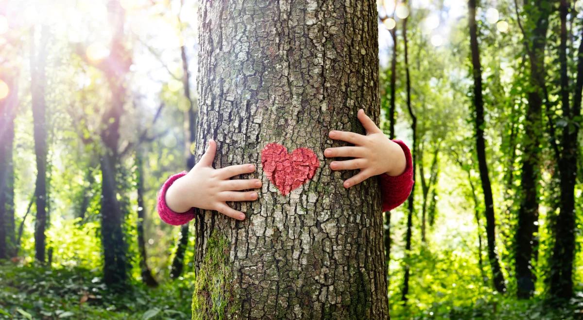 Ekonomiści zmierzyli się z kwestią wyceny zasobów naturalnych planety. "Rzeczywistość jest bardzo złożona"