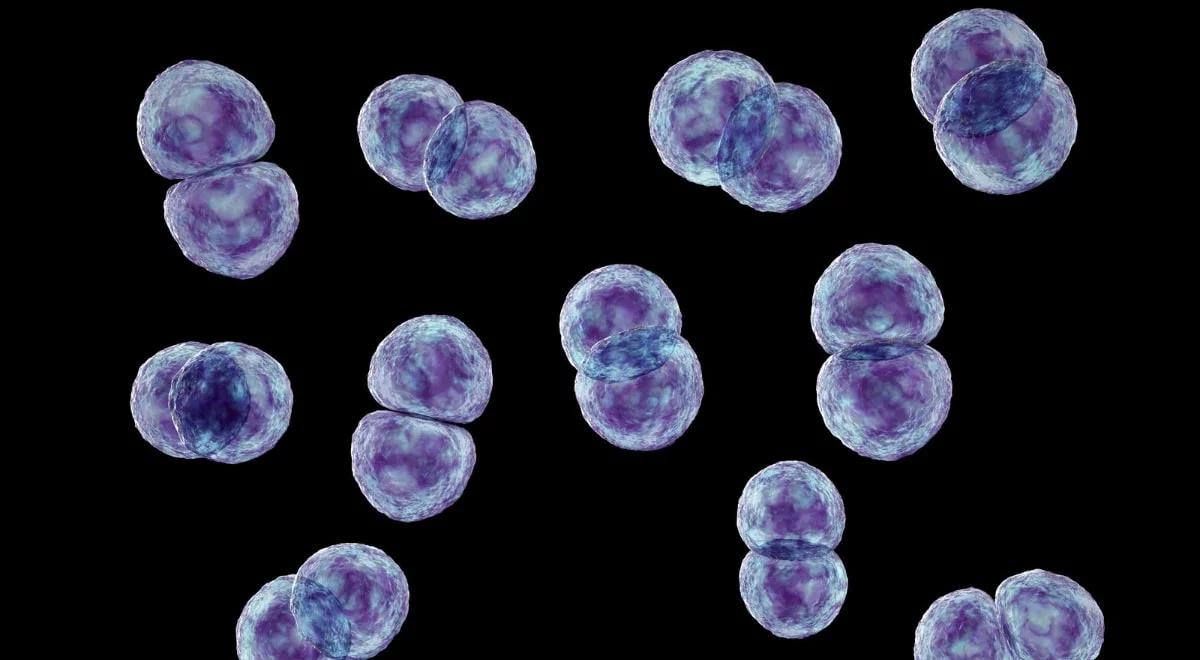 Ekspert alarmuje: szczepionka przeciw pneumokokom nie działa