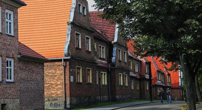 Pocynkowa hałda w centrum miasta ma stać się miejscem wypoczynku
