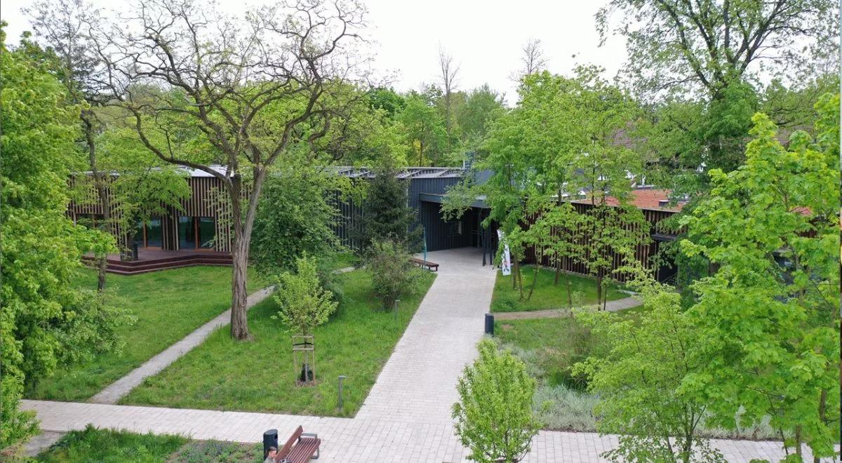 Edukacja ekologiczna. Aktywne podejście do przyrody