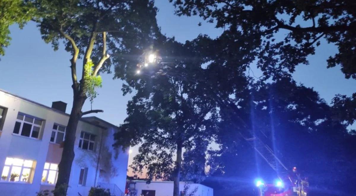 Wypadek w Wielkopolsce podczas Nocy Kupały. Gałąź spadła na dzieci