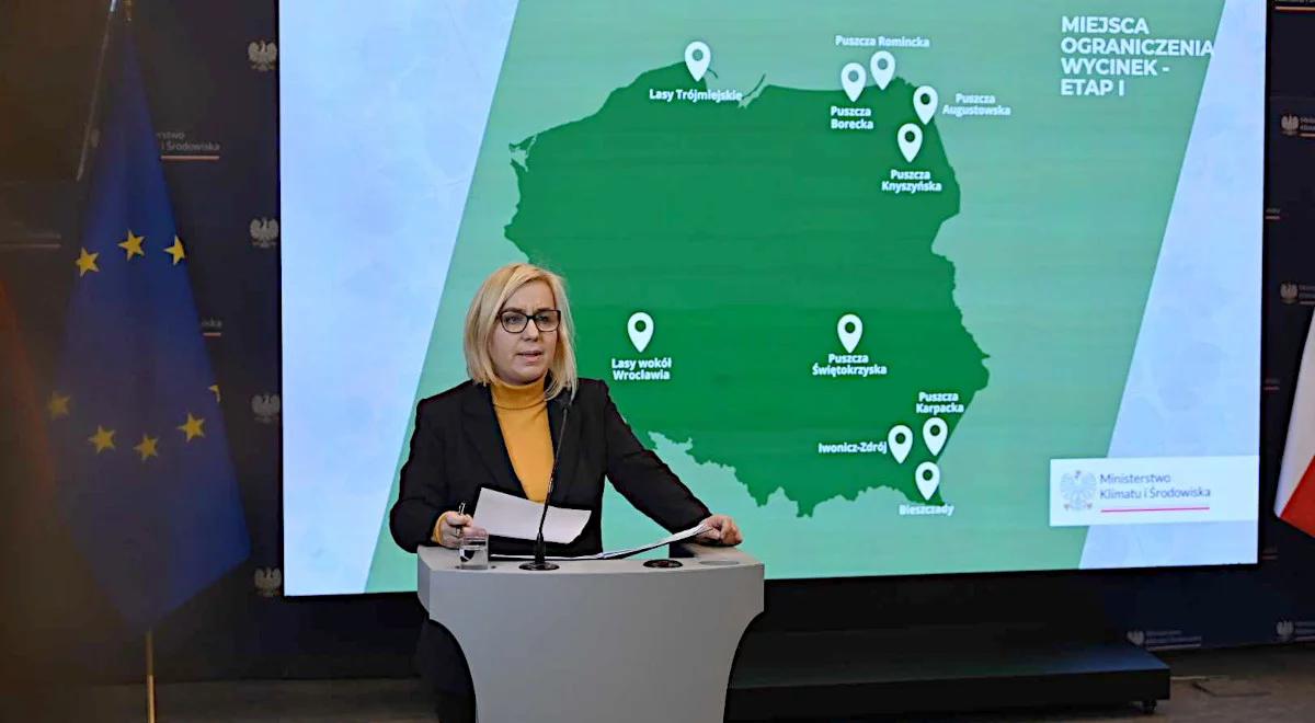 Ministerstwo klimatu wstrzymuje wycinki lasów. Decyzja dotyczy obszarów cennych przyrodniczo