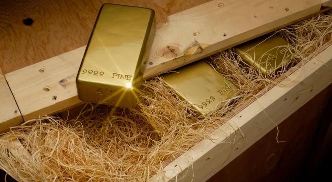 Pieniądze klientów Amber Gold są w gdańskim zoo