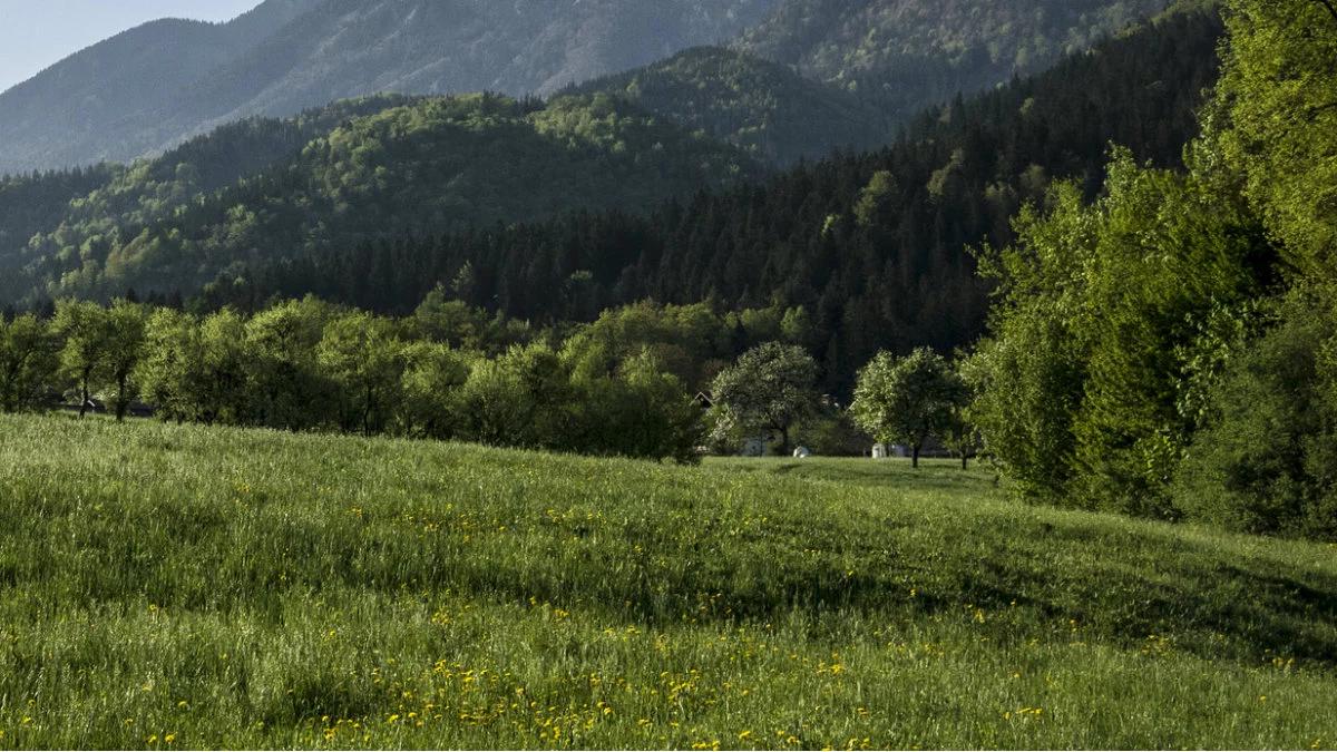 Prognoza pogody na majówkę. Początek długiego weekendu chłodny, ale potem będzie już lepiej